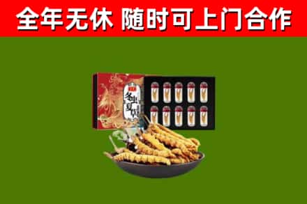 鸡西回收冬虫夏草价格